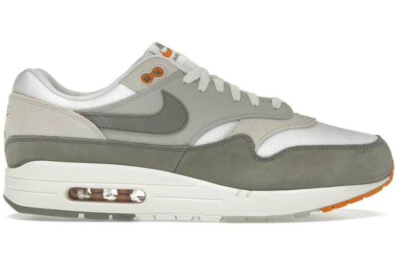 Nike Air Max 1 Light Iron Ore Flat Pewter product image