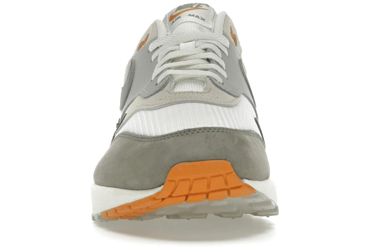 Nike Air Max 1 Light Iron Ore Flat Pewter secondary image