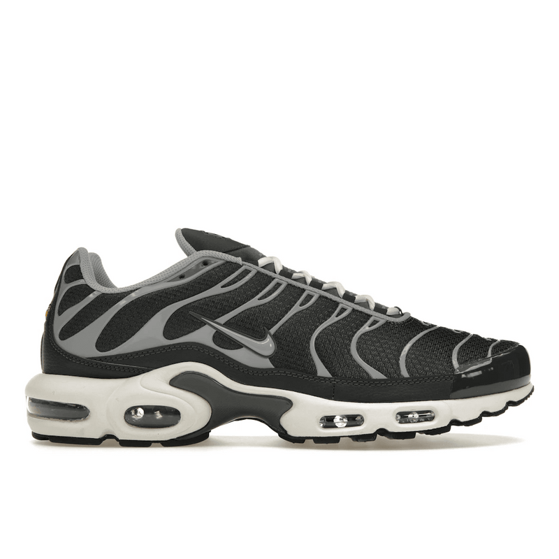 Nike Air Max Plus Greyscale Cool Grey product image