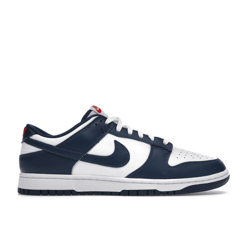 Nike Dunk Low Valerian Blue product image