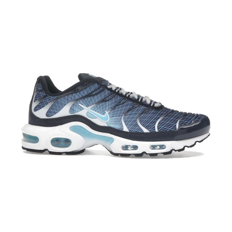 Nike Air Max Plus Dark Obsidian