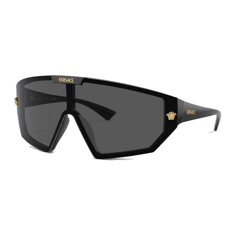Versace Maxi Medusa Horizon SGH Sunglasses Black product image