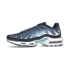 Nike Air Max Plus Dark Obsidian