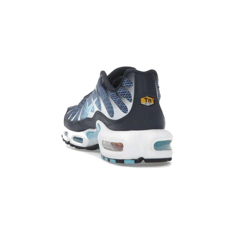 Nike Air Max Plus Dark Obsidian